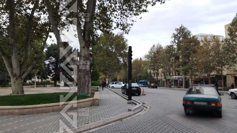 Səkiyə atılan ağac budaqları sakinləri narahat edir