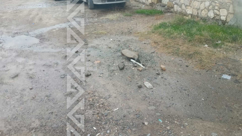 İki küçədə borulardan su sızır