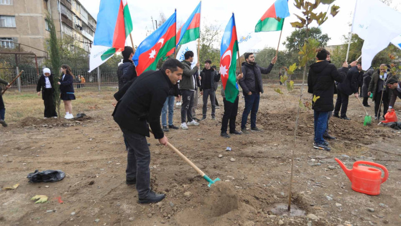 Məktəblərdən birinin həyətində ağacəkmə aksiyası keçirilib