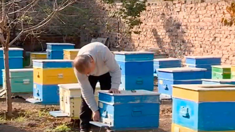 Anomal istilər arıçılığa maneə törədir