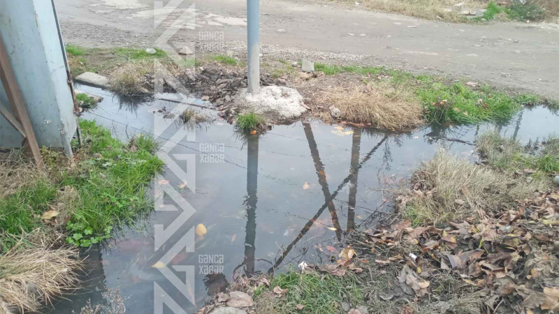 Şəhərin bir küçəsi suyun içində qalıb