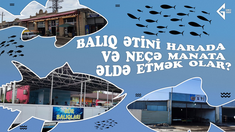 Balıq ətini harada və neçə manata əldə etmək olar?