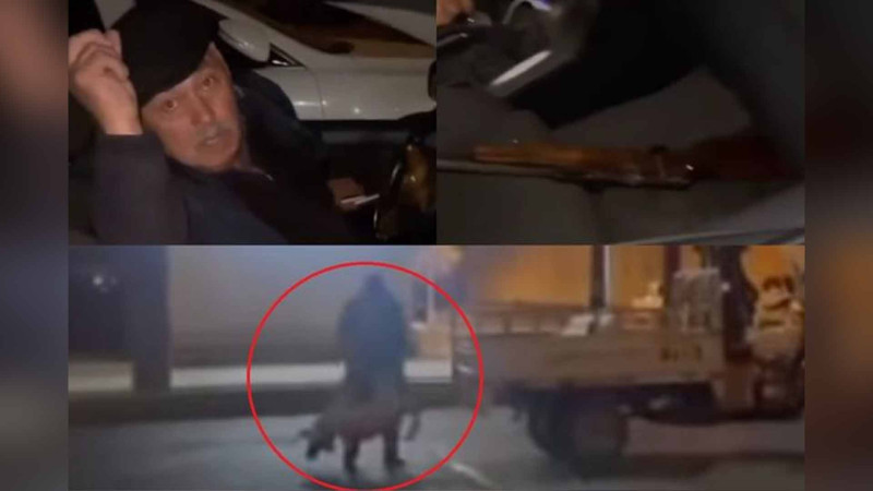 Rəsmi qurumlardan itlərin güllələnməsi xəbərinə açıqlama verilib