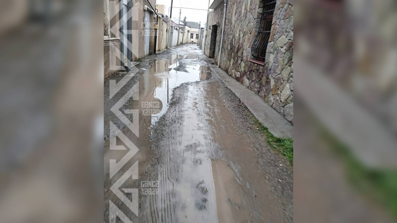 Daha bir ərazidə yolun təmirə ehtiyacı var