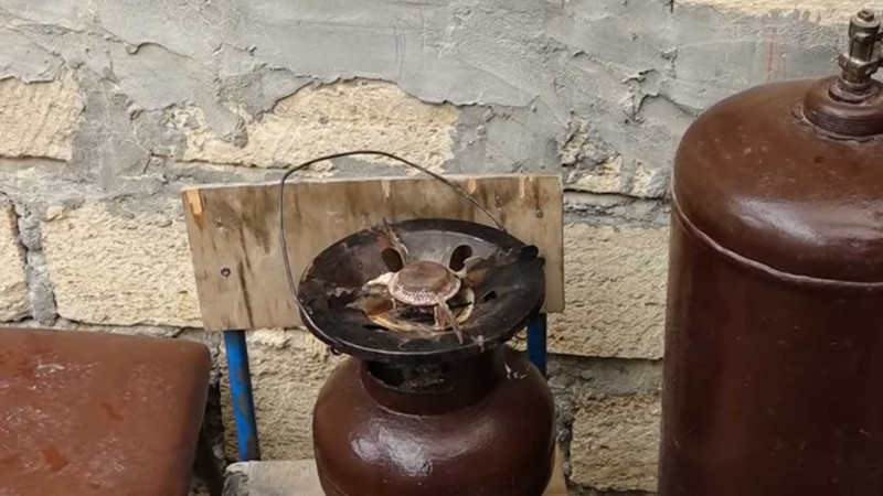 Məhsəti qəsəbəsinin sakinləri qaz təchizatı ilə bağlı çətinlik yaşayırlar