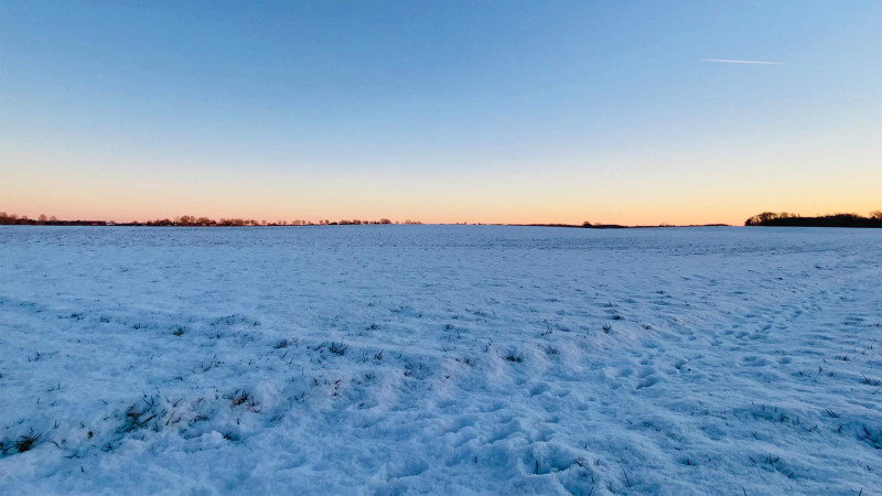Qarın arzulanan vaxtda yağması fermerləri sevindirib