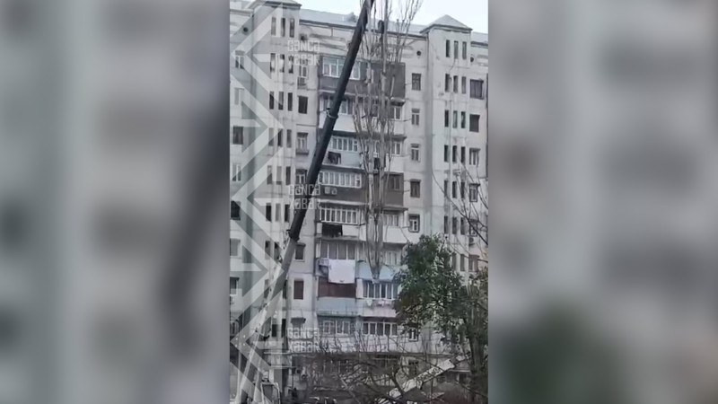 Həyətlərin birində qurumuş ağaclar kəsilir