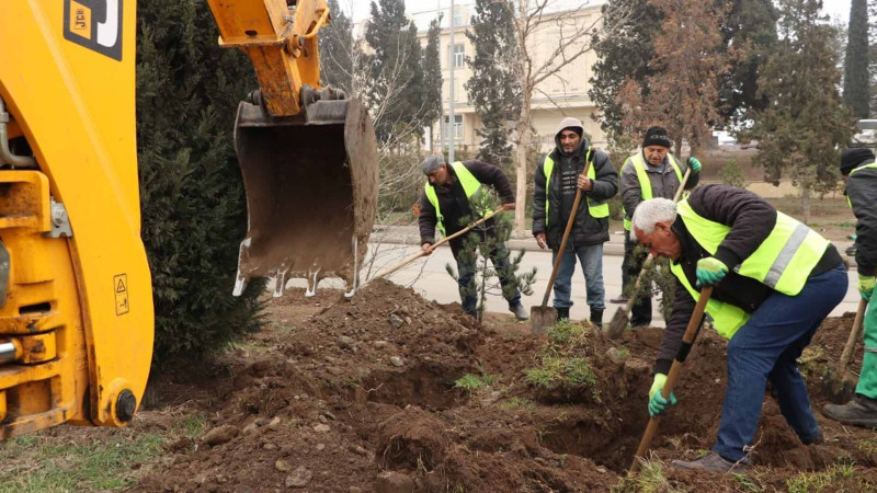 Müxtəlif ərazilərdə yaşıllaşdırma işləri aparılıb
