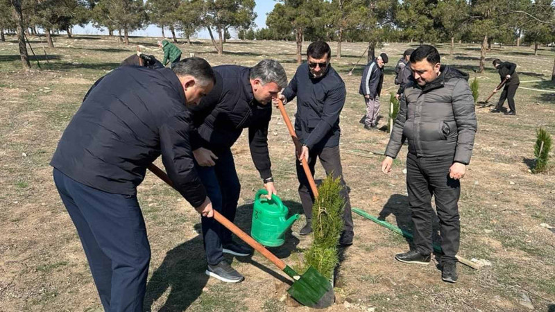 Bədən Tərbiyəsi və İdman Günü ilə əlaqədar ağacəkmə aksiyası keçirilib