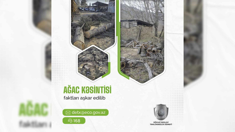 Ağacların qanunsuz kəsildiyi aşkar olunub