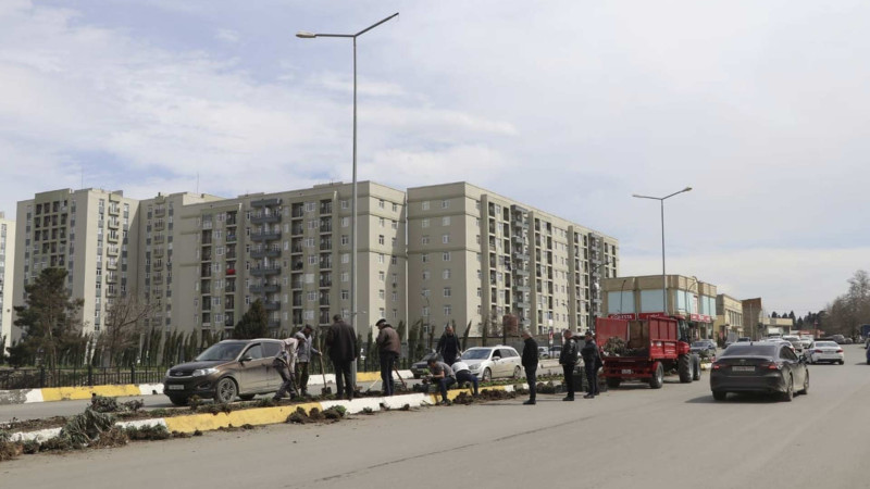 Şəhərin bir neçə ərazisində yaşıllaşdırma aksiyası baş tutub