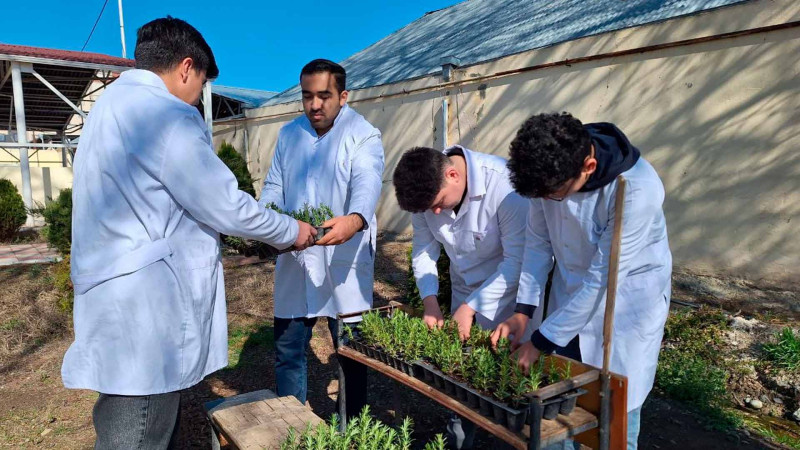 Tələbələr təlimdə iştirak ediblər