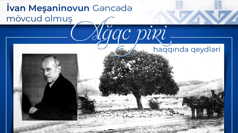 Akademik İvan Meşaninovun Gəncədə mövcud olmuş ağac piri haqqında qeydləri