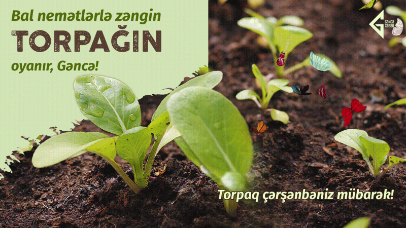 Bu gün ilin axır çərşənbəsi - Torpaq çərşənbəsidir