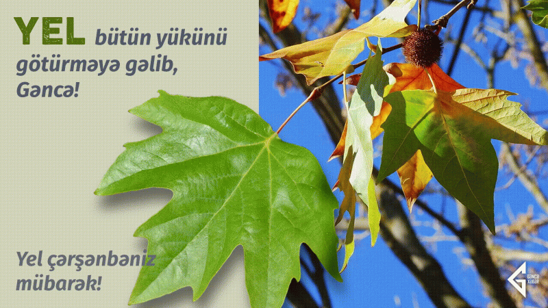 Novruz bayramının üçüncü çərşənbəsi: Yel çərşənbəsi