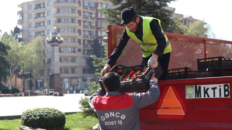 Şəhərin mərkəzində abadlıq işləri aparılıb