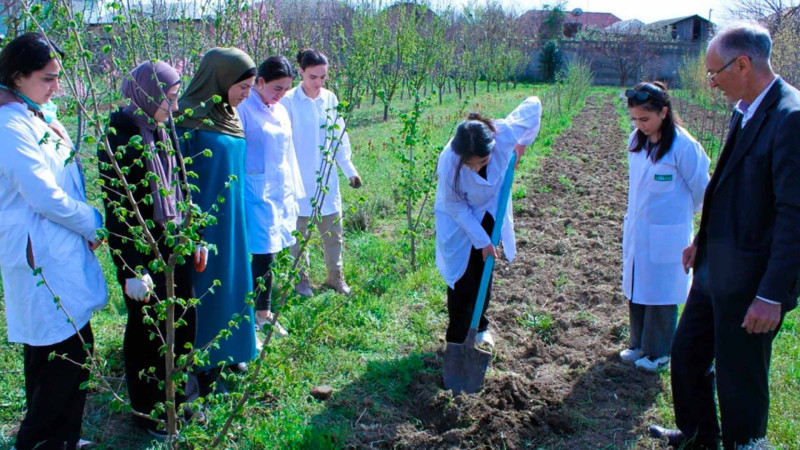 ADAU-nun magistr tələbələrinə biznes üçün dəstək verilib