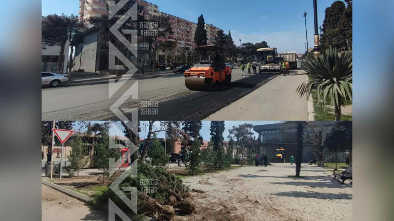 Şah İsmayıl Xətai prospekti abadlaşdırılır