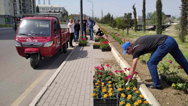 Bir sıra ərazilərə yeni bitkilər əkilib