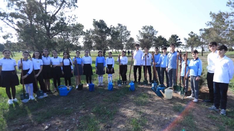 Məktəblilər ağacəkmə aksiyasında iştirak ediblər