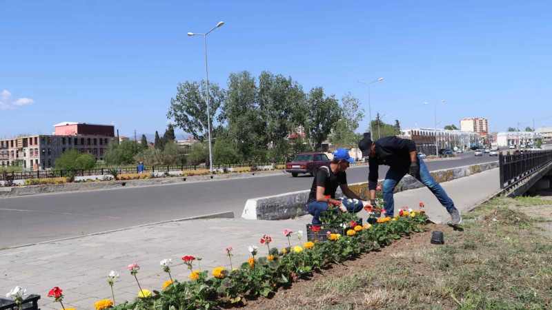 Şəhər ərazisinə müxtəlif növ güllər əkilib