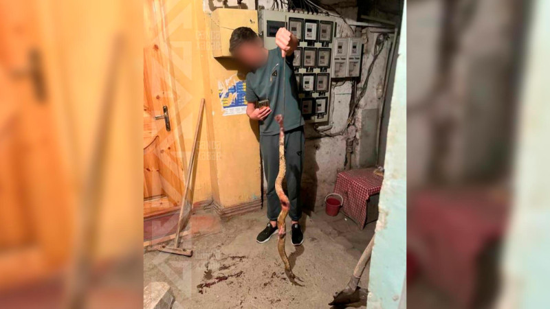 Yaşayış binasında peyda olan ilan sakinləri təşvişə salıb