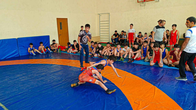 Sərbəst güləş üzrə daxili birincilik təşkil edilib