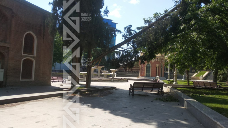 Güclü külək çox sayda fəsadlar törədir