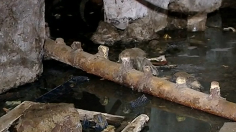 Binada köhnəlmiş və tutulmuş borular kommunal problemə yol açıb