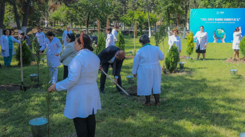 “Təbiəti də sağaldaq” devizi ilə ağacəkmə aksiyası keçirilib