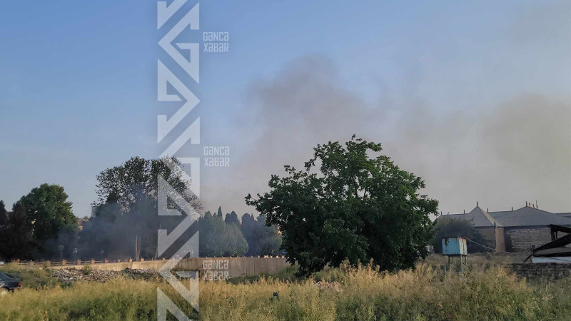 Gəncəçayın sahilində yandırılan tullantılar narahatlığa səbəb olub