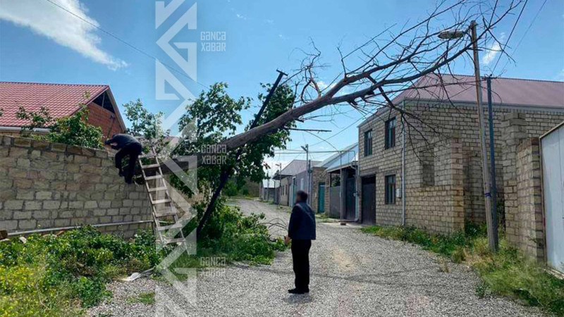 Əyilmiş dirək sakinlər üçün təhlükə yaradır