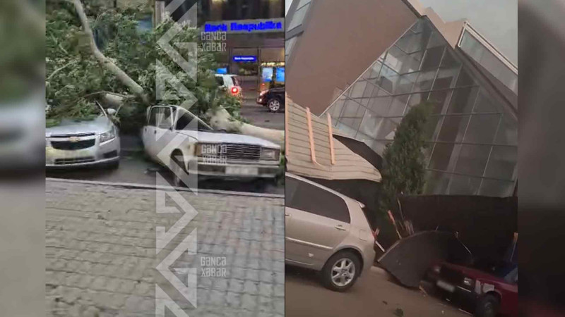 Güclü külək şəhərdə fəsadlar törədib