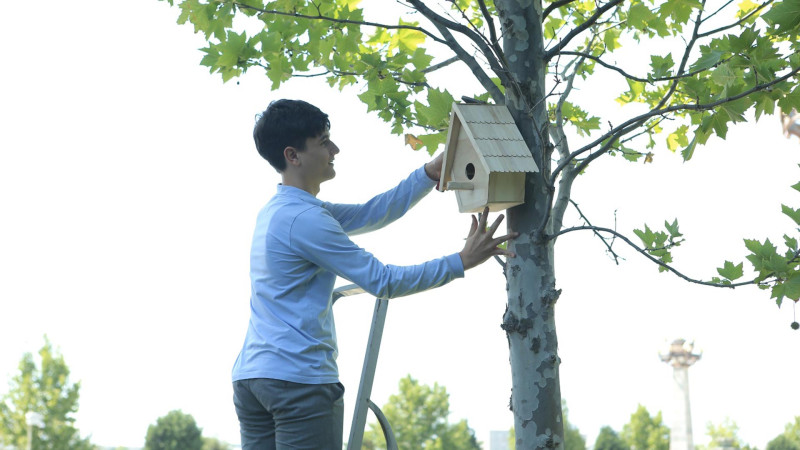 Şagirdlər park ərazisinə heyvanlar üçün yuvalar yerləşdiriblər