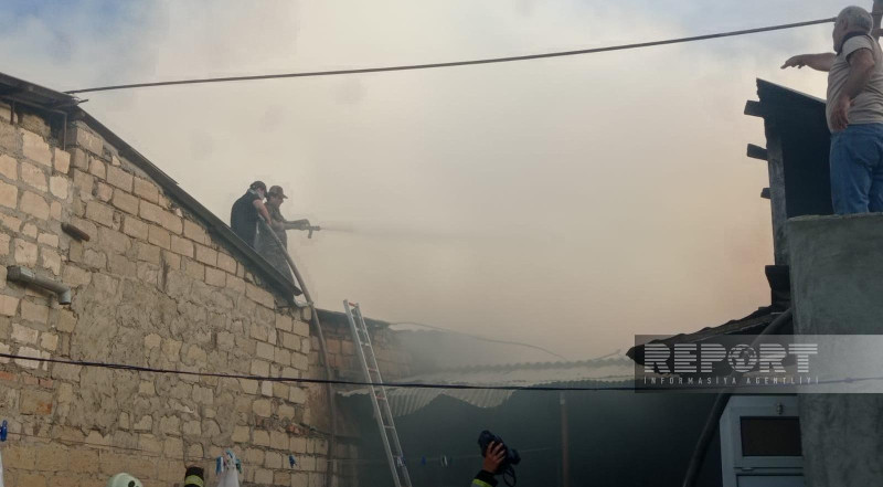 Artland Cinema” fəaliyyətinə başlayıb: giriş ödənişsizdir