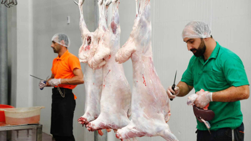 Qurbanlıq heyvanların satışı və kəsimi yerləri açıqlanıb