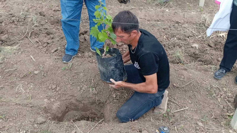 Təcrübə Stansiyasında tədbir təşkil edilib