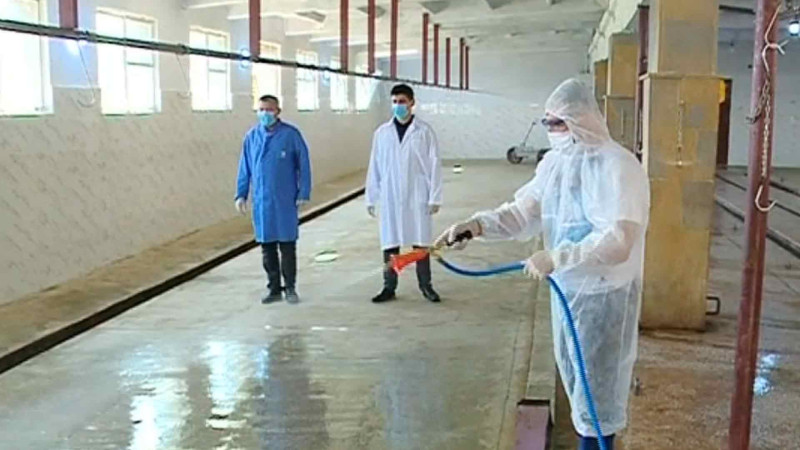 Qurbanlıqların kəsim və satış məntəqələri dezinfeksiya edilib