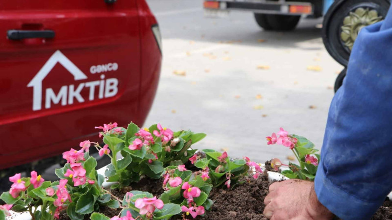 Bir sıra ərazilərdə ekoloji aksiya baş tutub