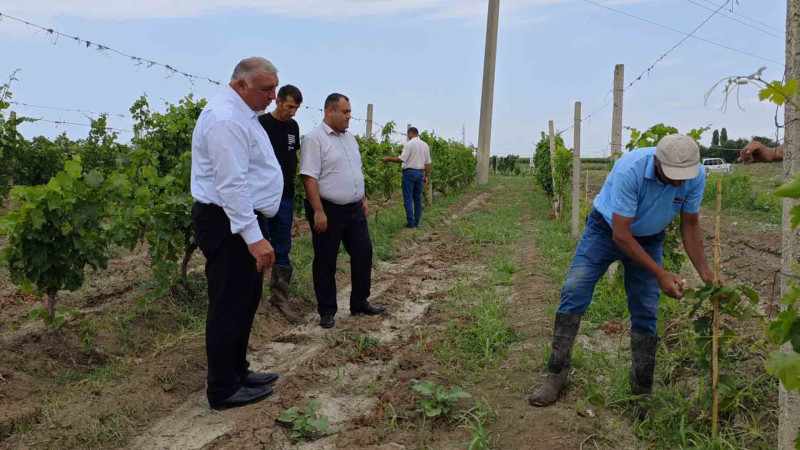 Təcrübə Stansiyasında tədbir təşkil edilib