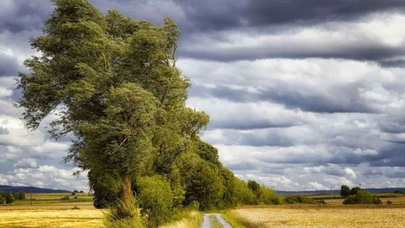 Növbəti günlərdəki küləyin sürəti açıqlanıb