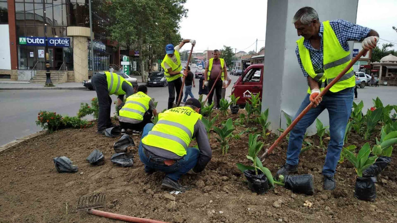 Şəhərin bir neçə yerinə iqlim şəraitinə uyğun güllər əkilib