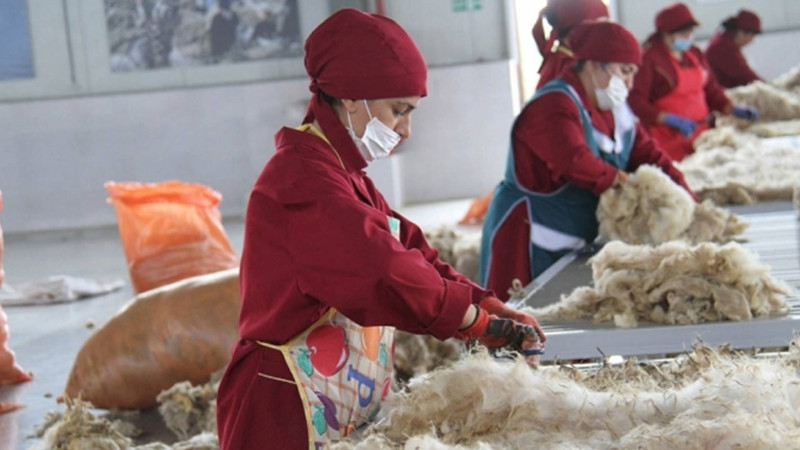 Yevlaxda istehsalat müəssisəsinə cərimə protokolu yazılıb