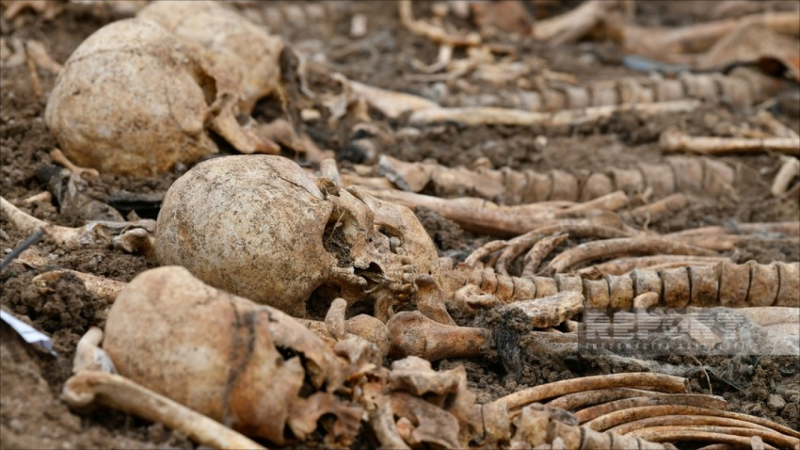 Qarabağda 169 şəxsin meyit qalıqları ekshumasiya olunub