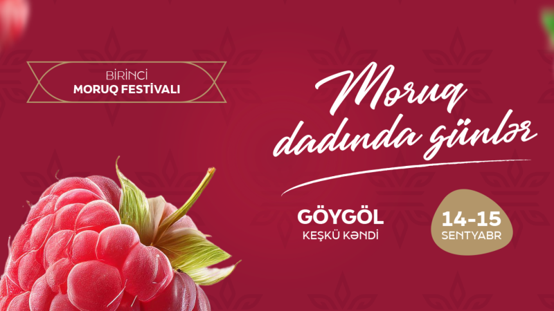 İlk Moruq Festivalı: dadlı təamlar, konsert və əyləncəli proqramlar…
