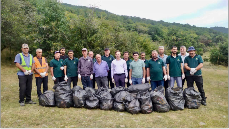 Qərb rayonlarında meşələr təmizlənib