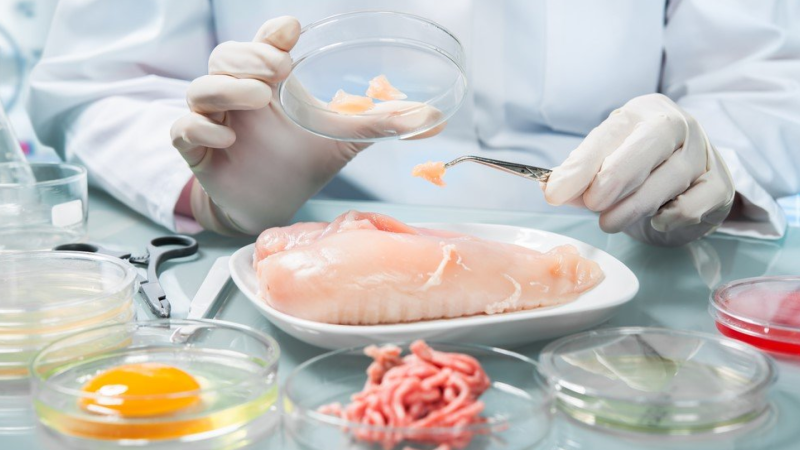 AQTA kütləvi zəhərlənmənin ilkin səbəbini müəyyən edib