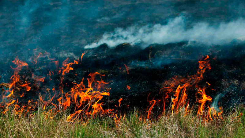 Qazaxda sahə yanıb