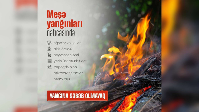 Bu rayonlarda meşə yanğınları ola bilər - təhlükə yüksəkdir