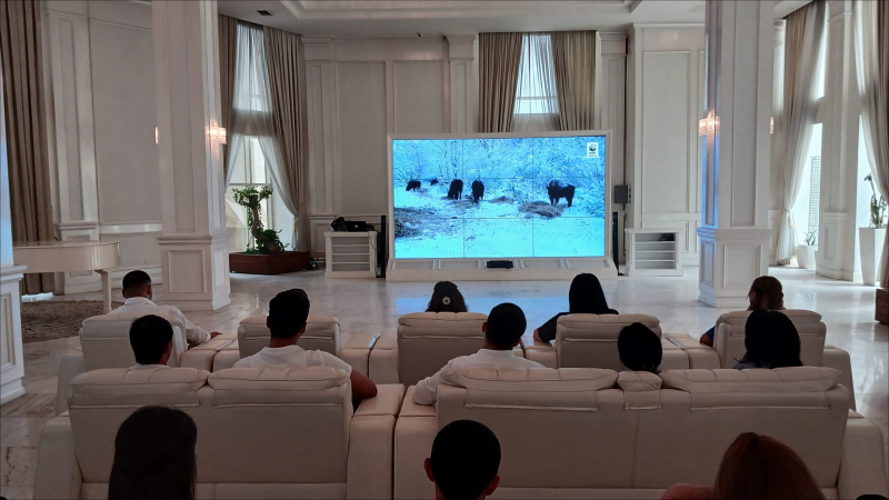 Gəncədə “Zubrlar Azərbaycanda” sənədli filmi nümayiş edilib